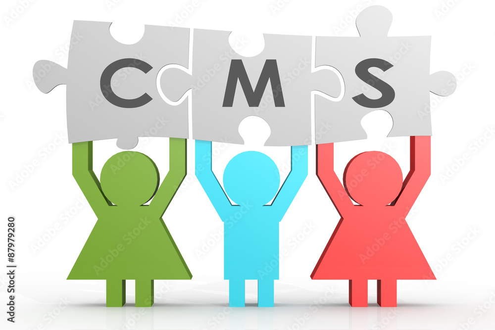 CMS - Content Management System puzzle in a line CMS - Content Management System puzzle in a line