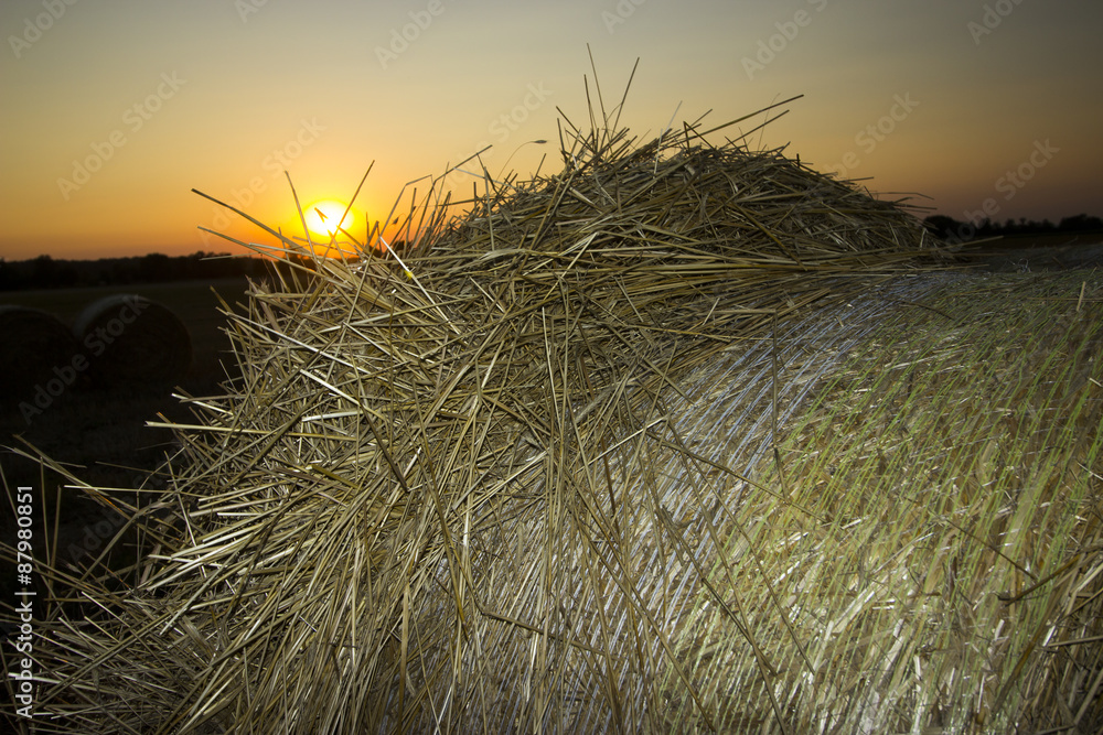 Fototapeta premium Straw bales