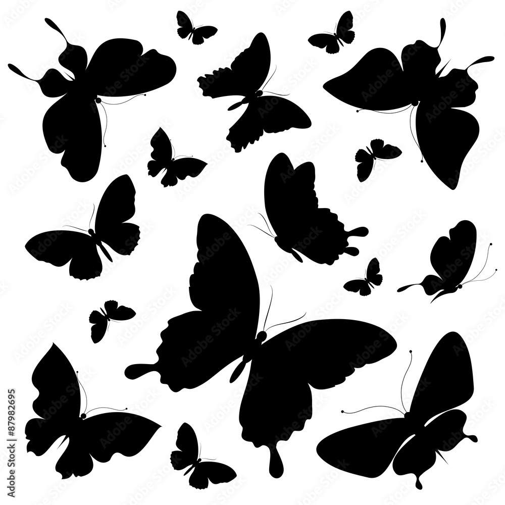 Fototapeta premium butterflies design