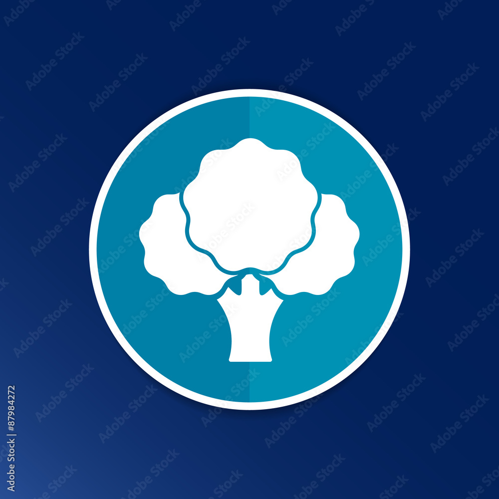 Broccoli abstract isolated on a white backgrounds Broccoli abstract isolated on a white backgrounds