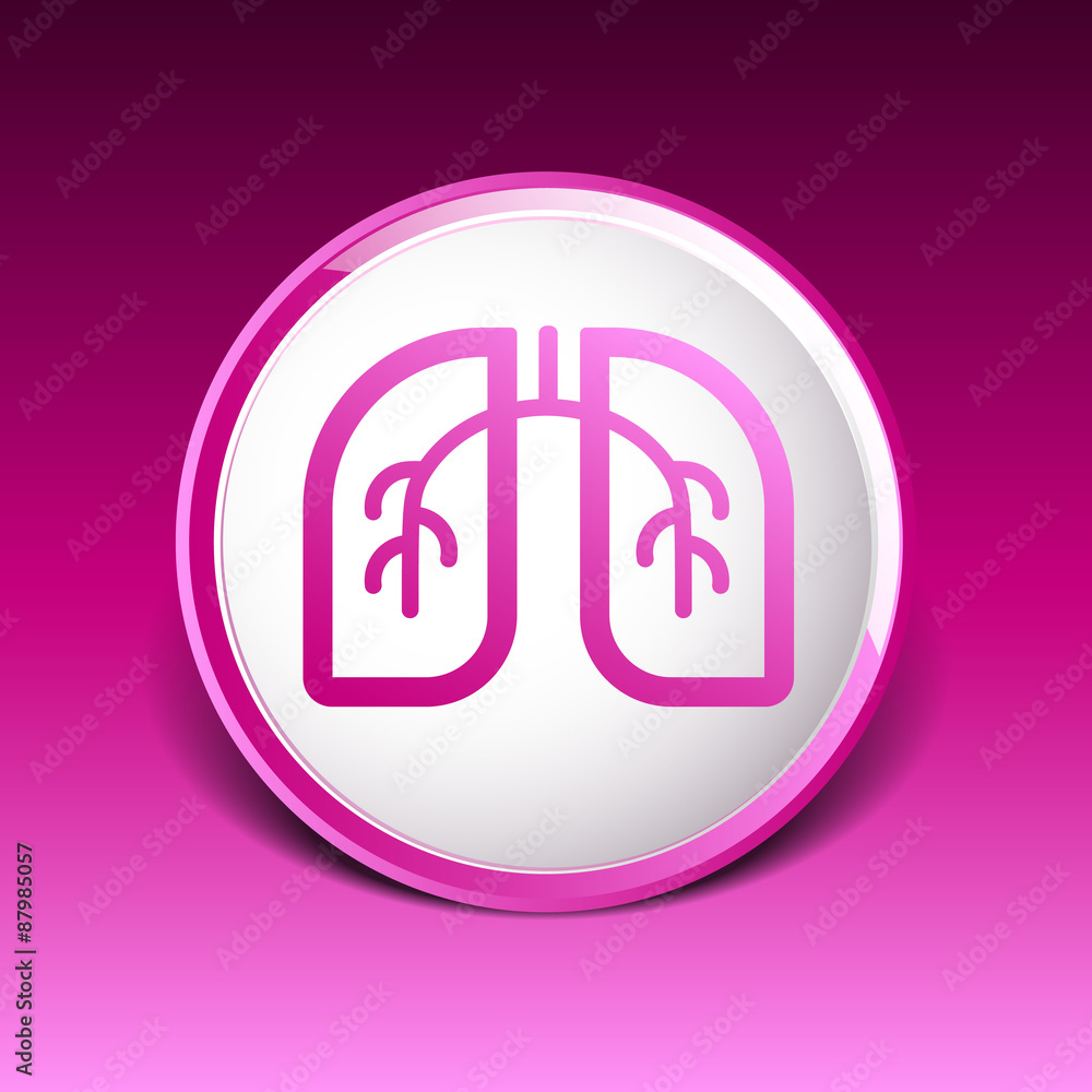 Lungs icon isolated on white background. VECTOR art Lungs icon isolated on white background. VECTOR art