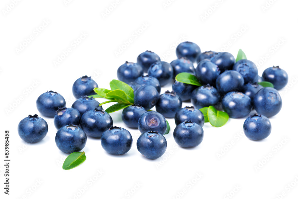 Fototapeta premium Blueberries