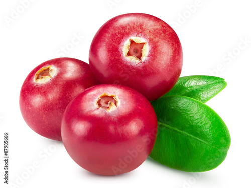 cranberries