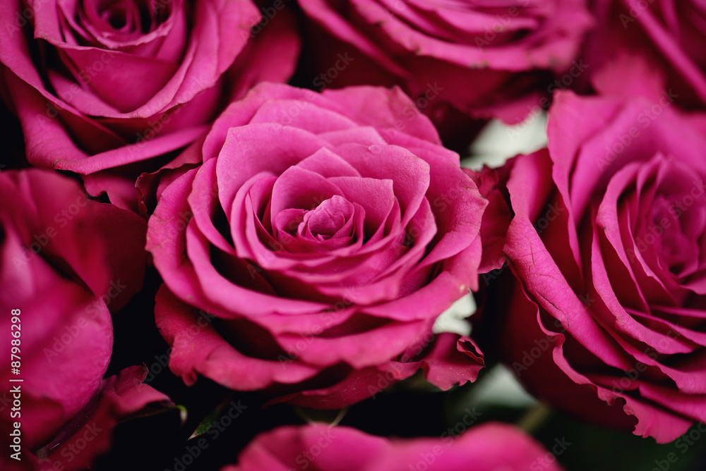 Flowers Flowers