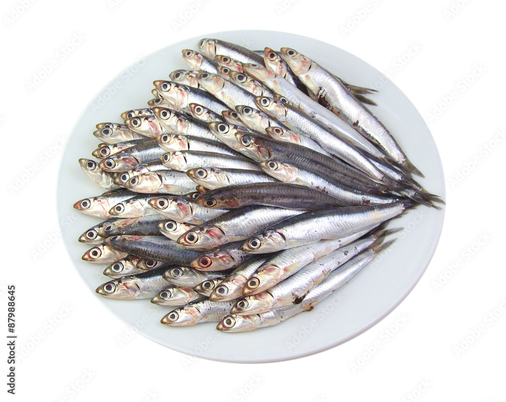 Mediterranean anchovies isolated on a white background Mediterranean anchovies isolated on a white background