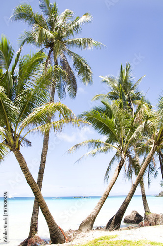 palm tree, white sand and turquoise sea water, Philippines, Boracay © popup1