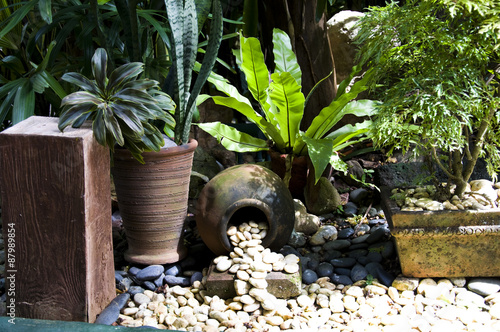 Detail of tropical garden in Boracay, Philippines