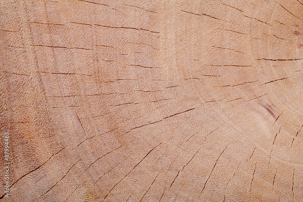 wood texture background