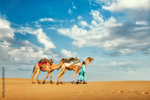 Cameleer camel driver with camels in dunes of Thar desert