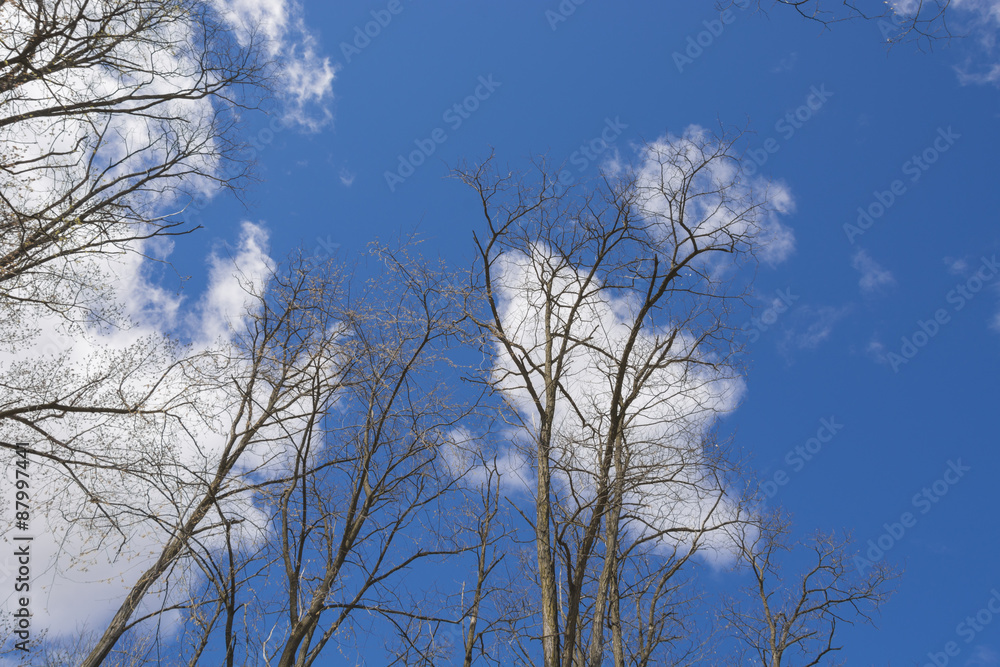 Blue sky with fair weather clouds roll by on a beautiful late April day. Blue sky with fair weather clouds roll by on a beautiful late April day.
