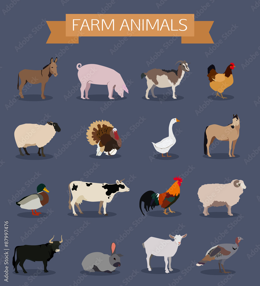 Fototapeta premium Set of farm animals icons.