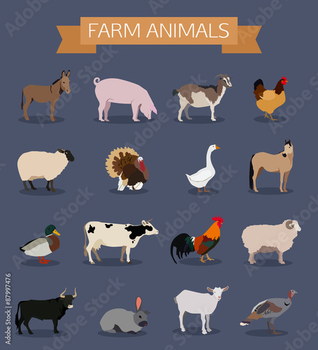 Fototapeta Naklejka Na Ścianę i Meble -  Set of farm animals icons.