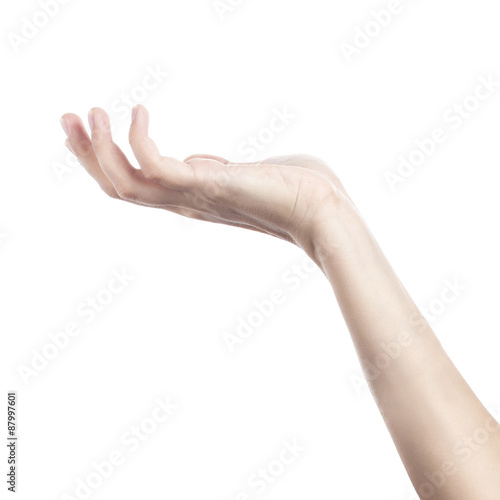 Wallpaper Mural Female hand to create a collage, isolated on white Torontodigital.ca