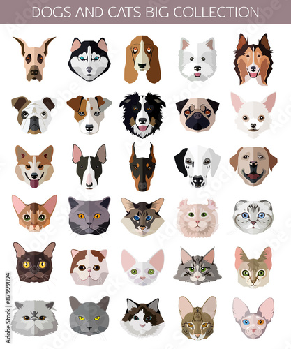 Set of flat popular Breeds of Cats and Dogs icons. 