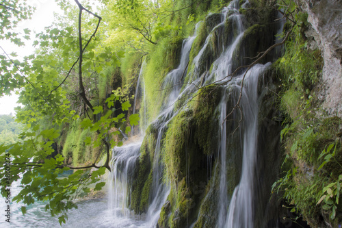 Fototapeta Naklejka Na Ścianę i Meble -  Waterfall in the Forest