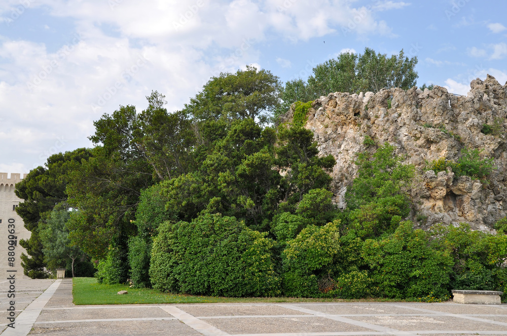 Park in Avignon
