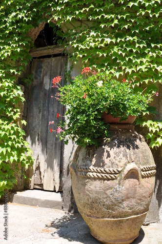 Green creeper on the wall with a door and a stone pot with plants