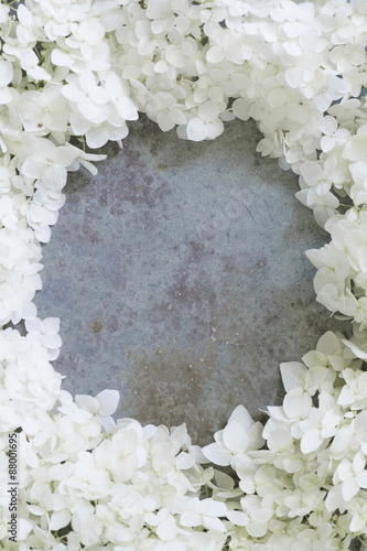 Vintage frame of Hydrangea flowers photo