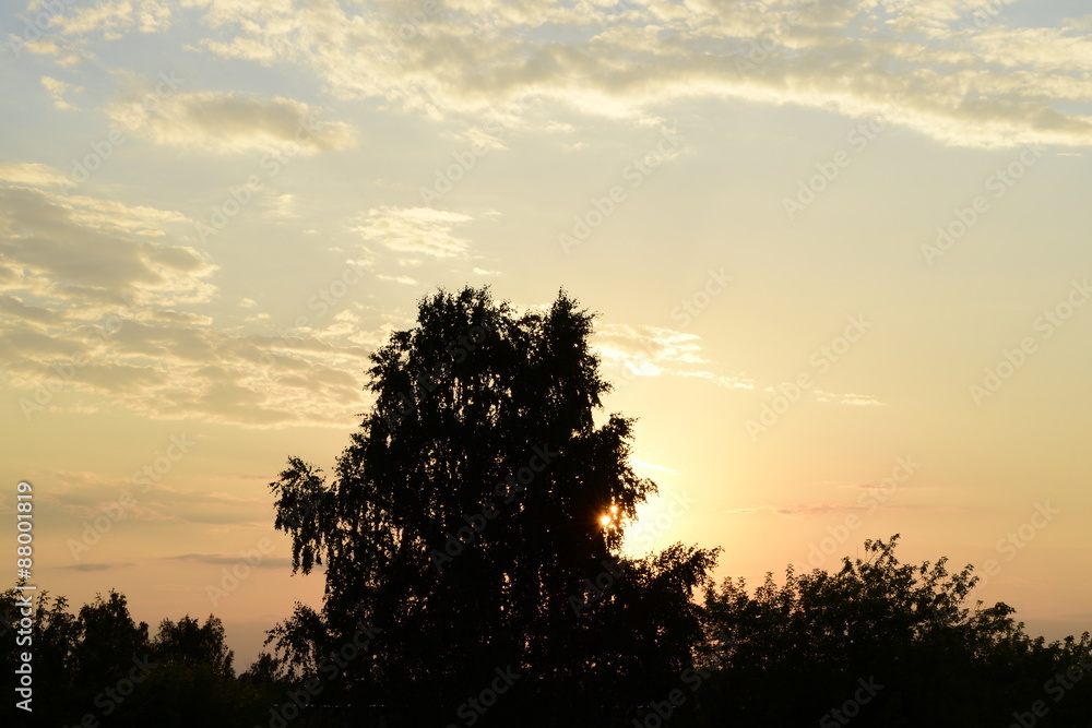 Obraz premium зорька