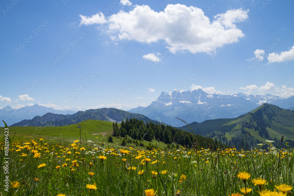 Beautiful summer landscape with flowers and blue sky in the French Alps ,Rhone - Alpes region