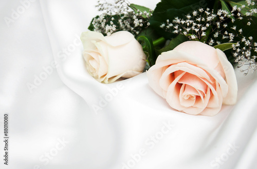 roses on white silk background