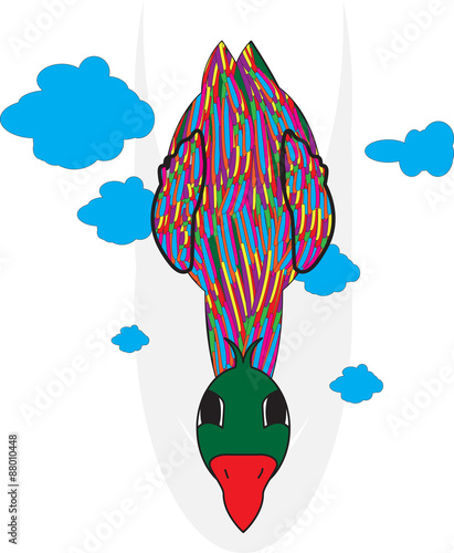 Colored duck with green head fly down between clouds
