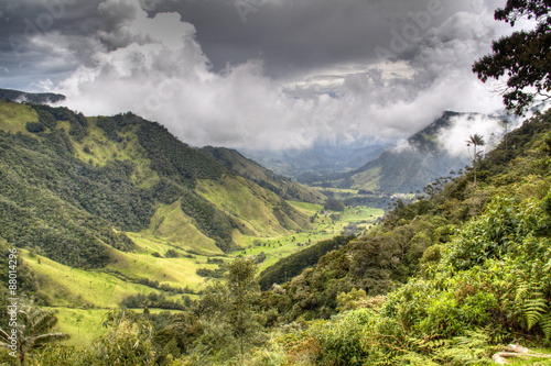 The valley of Cocora near Salento, Colombia 