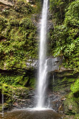 waterfall near the city of Tarapoto  Peru  