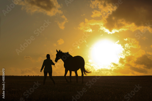 Pferd wird vor Sonnenuntergang geführt