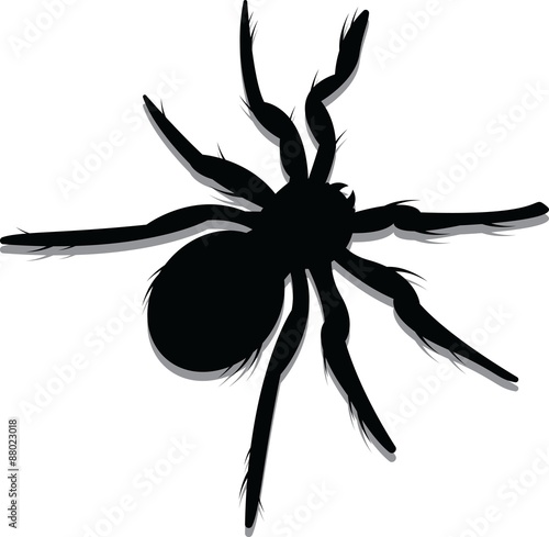 Vector Spider Silhouette