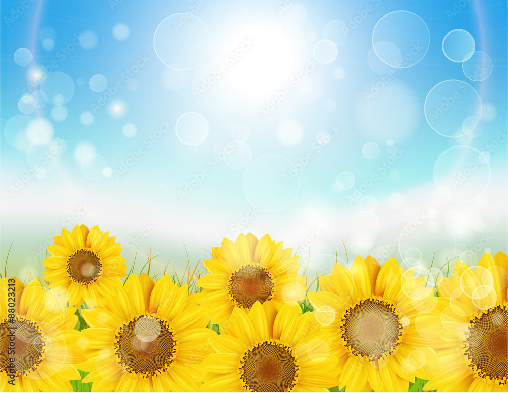 Obraz premium ひまわり4