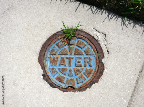 Grass grows from rusty sidewalk water valve cover photo