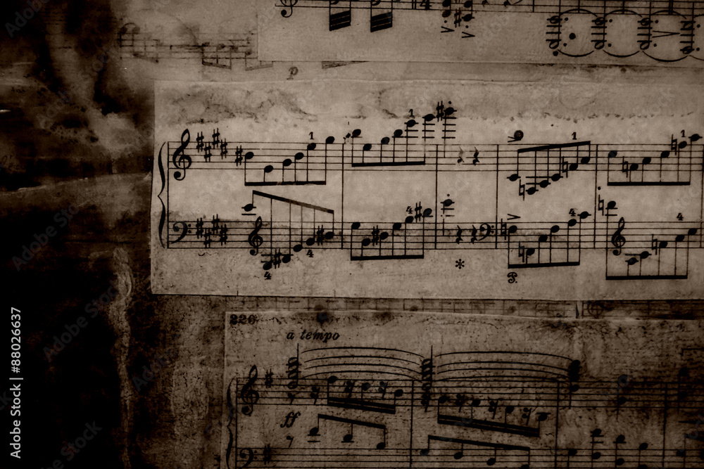 Fototapeta premium notes