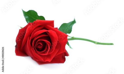 single red rose, lay down on white table