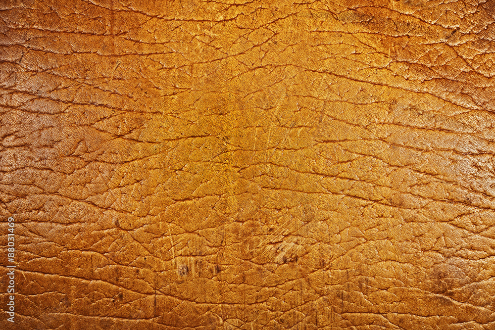 texture of old beige leather texture of old beige leather
