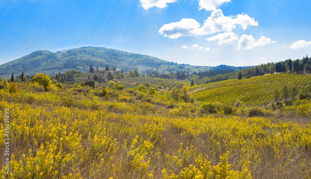 Fototapeta premium Italian rural landscape