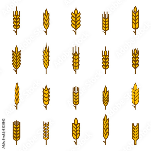Ears of wheat bread symbols