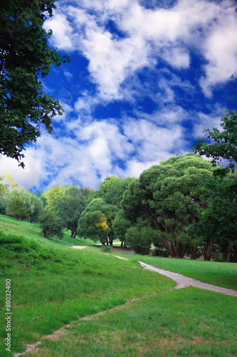 Green forest with blue sky and clouds on summer day © korionov