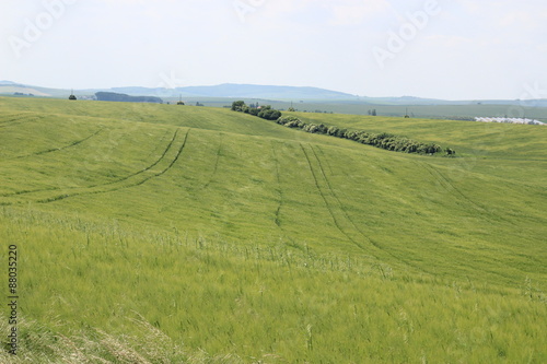 チェコ共和国のモラヴィア大草原 © サラリーマン