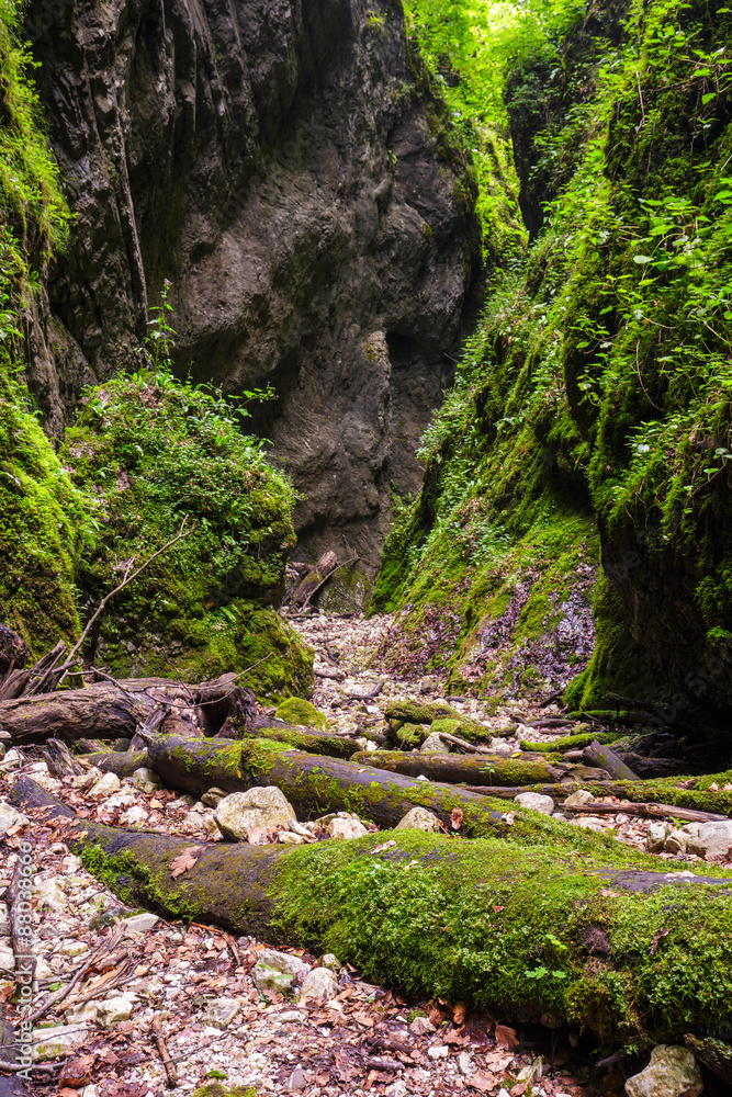 Fototapeta premium The wonderful Sighistel gorge