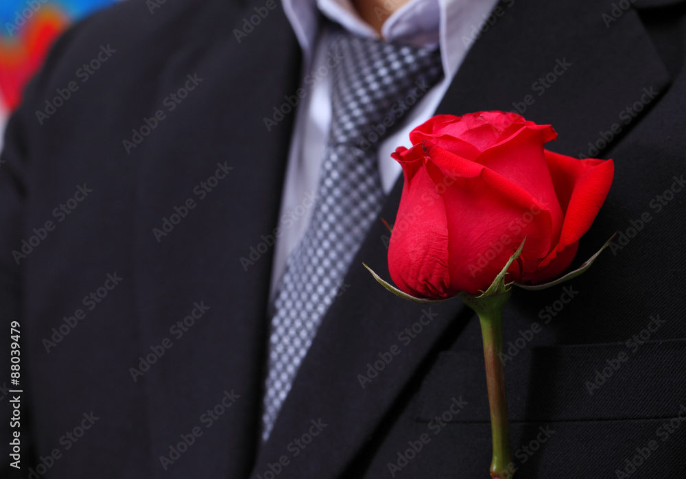 Red rose in suit. Red rose in suit.