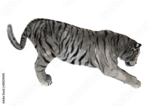 White Tiger