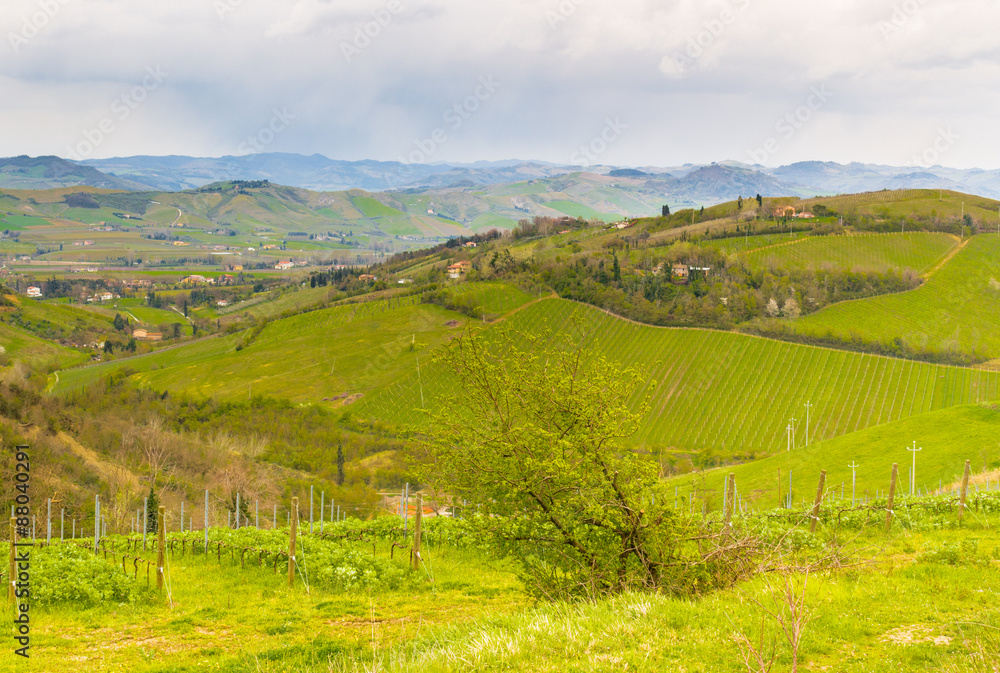 Peaceful Green farmland on rolling hills