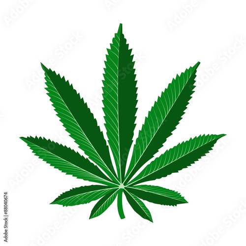 realistic marijuana leaf