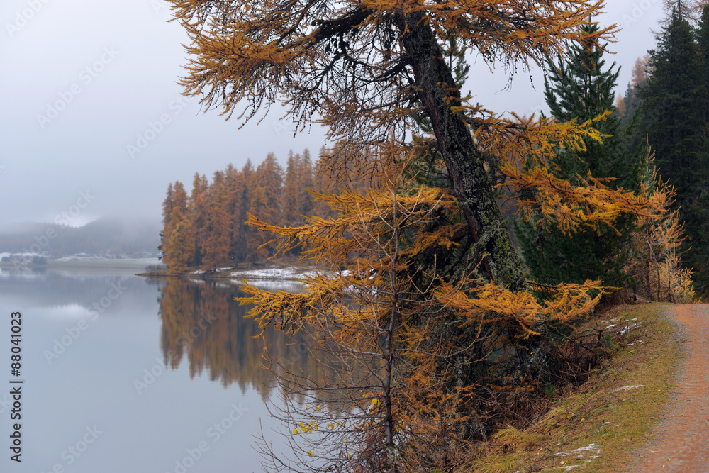 Obraz premium Lake St. Moritz with the first snow in the autumn