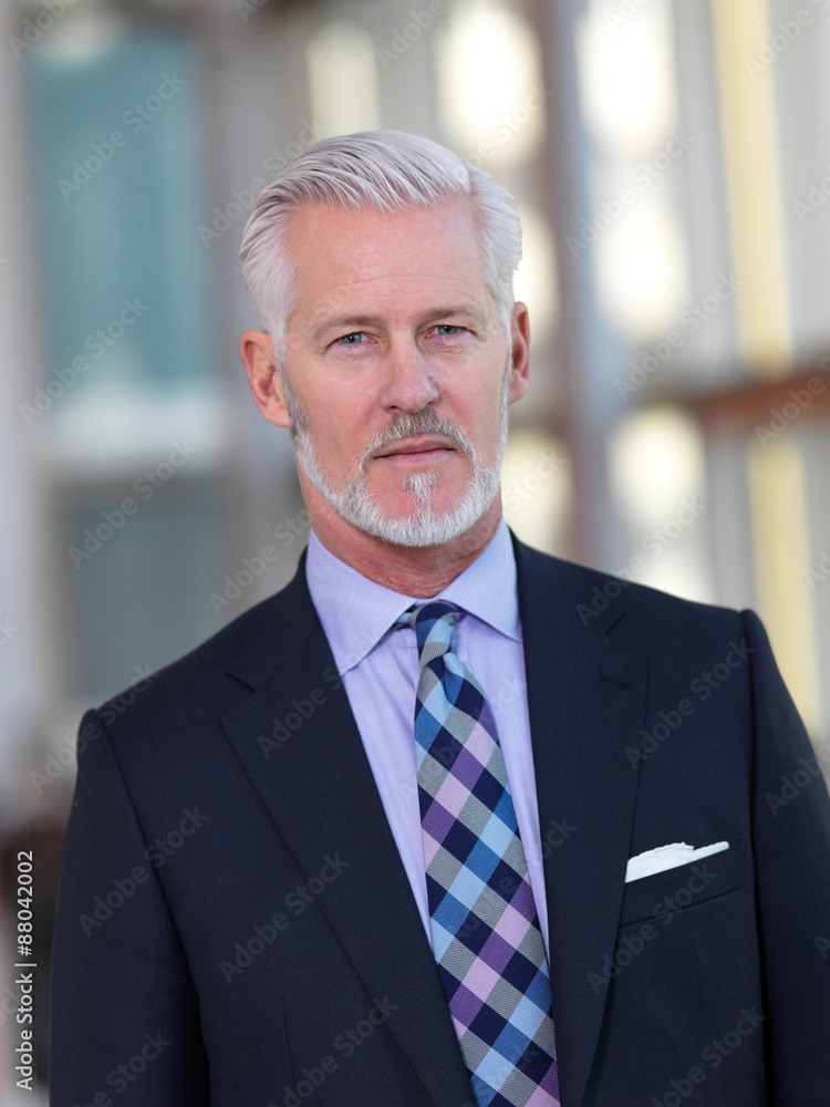 senior business man portrait senior business man portrait