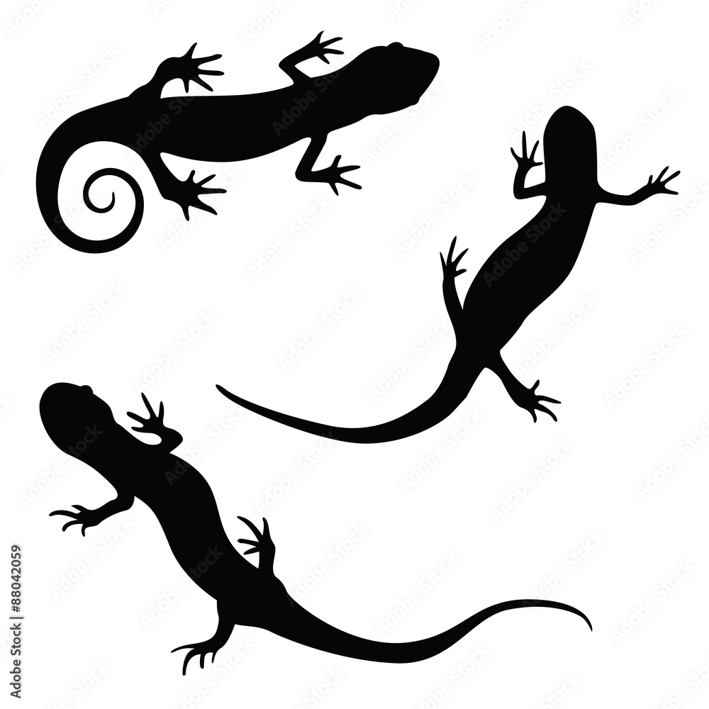 Naklejka premium salamander silhouette illustration set