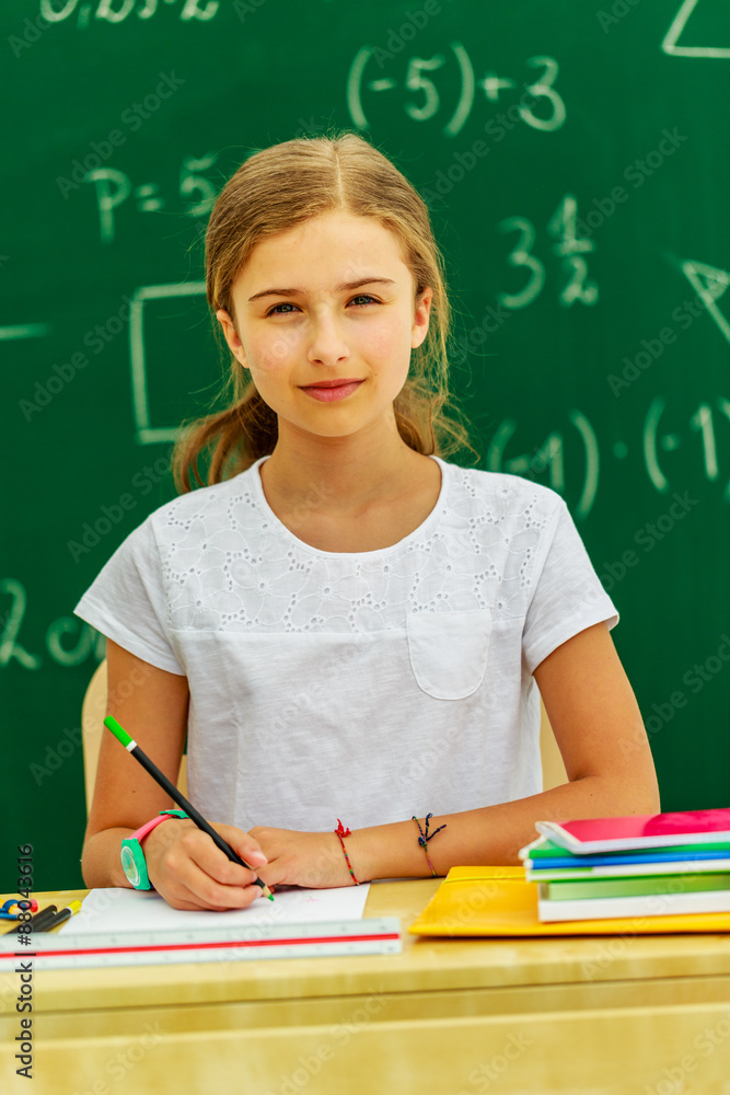 Back To School   Young Schoolgirl In The Classroom Stock Photo | Adobe