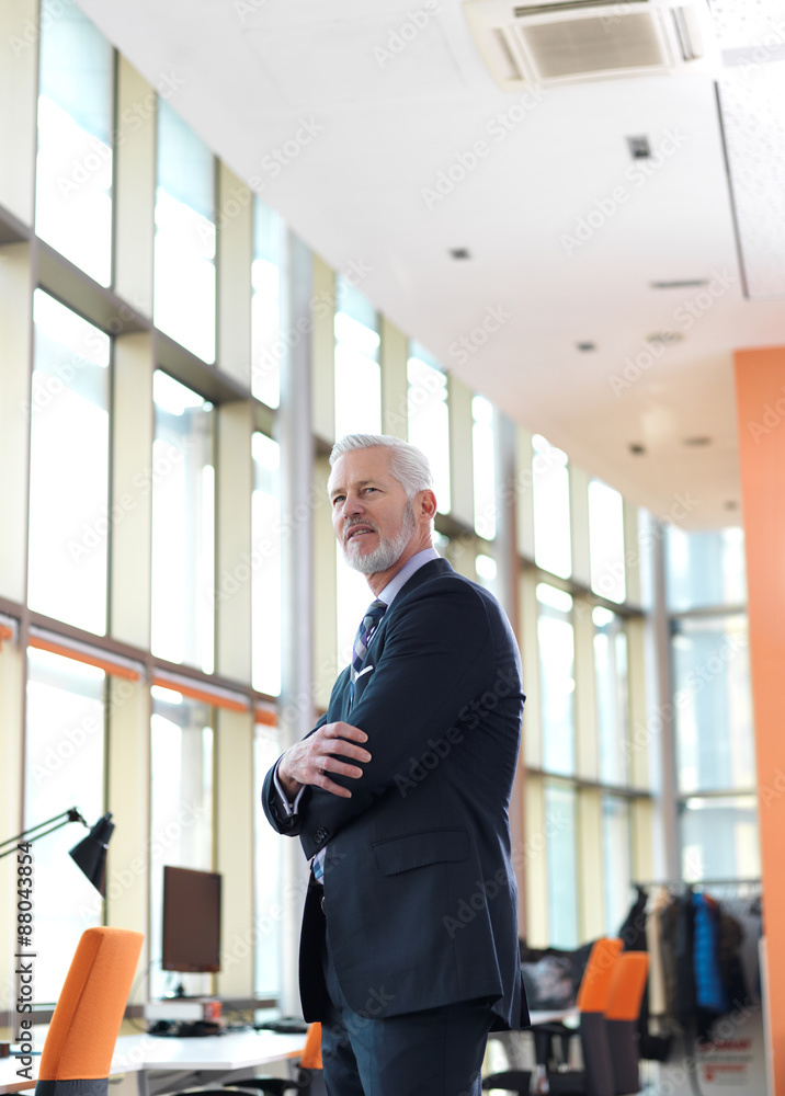 Fototapeta premium senior business man portrait