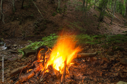 Fototapeta Naklejka Na Ścianę i Meble -  Bonfire in the forest.